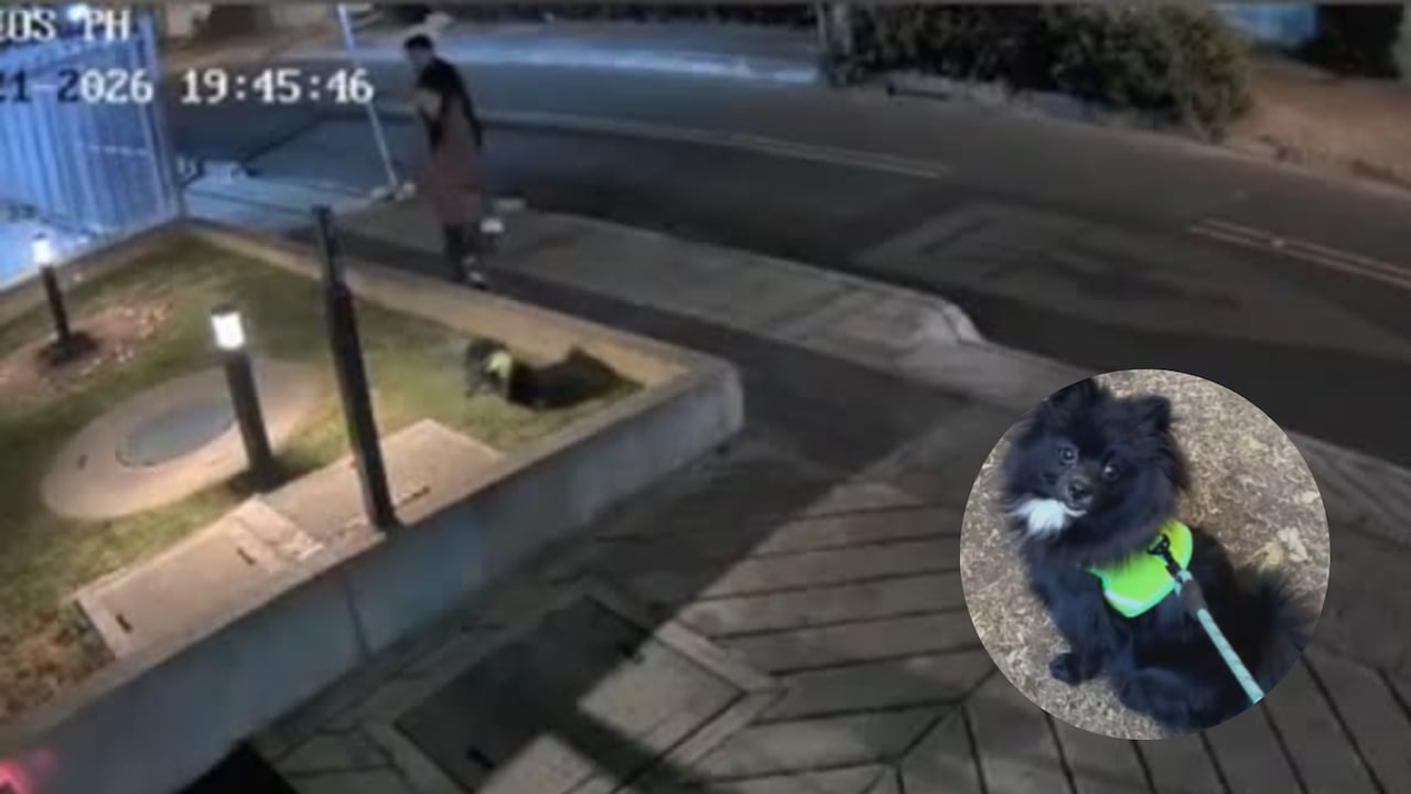 El caso ocurre en medio de las alertas por diferentes modalidades de hurto en la capital.