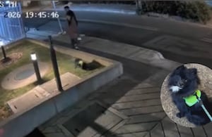 El caso ocurre en medio de las alertas por diferentes modalidades de hurto en la capital.