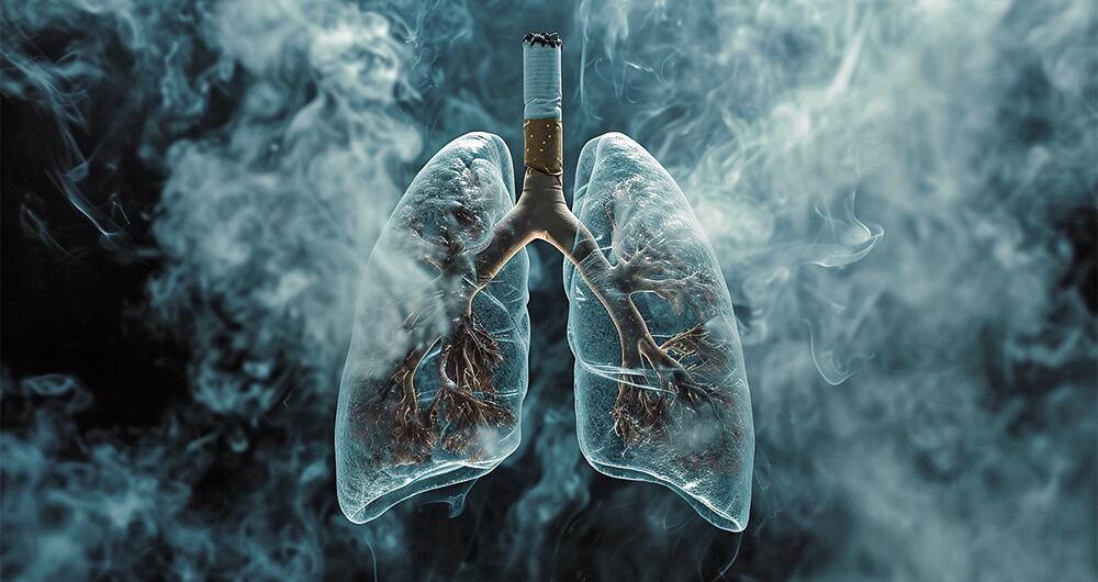 Expertos aseguran que los glóbulos blancos de los exfumadores se mantienen alterados durante años. 