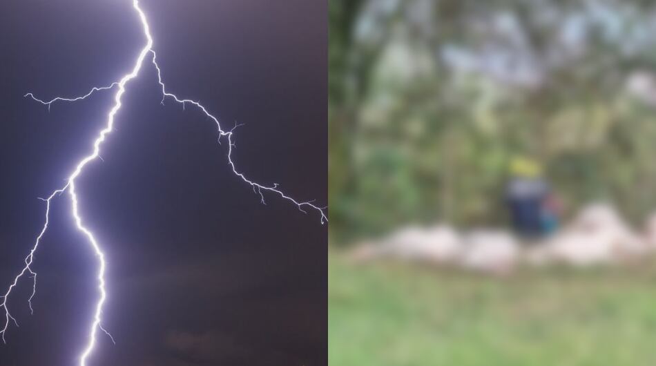 17 vacas muertas tras ser impactadas por un rayo en Medellín.