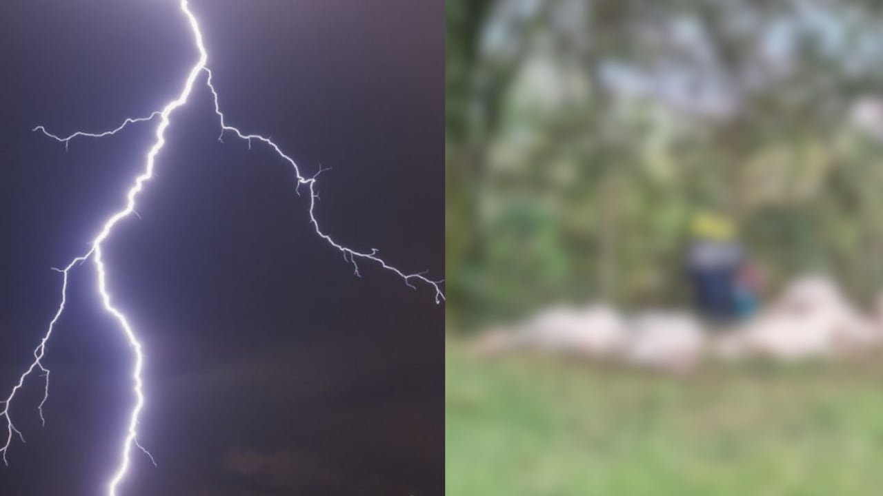 17 vacas muertas tras ser impactadas por un rayo en Medellín.