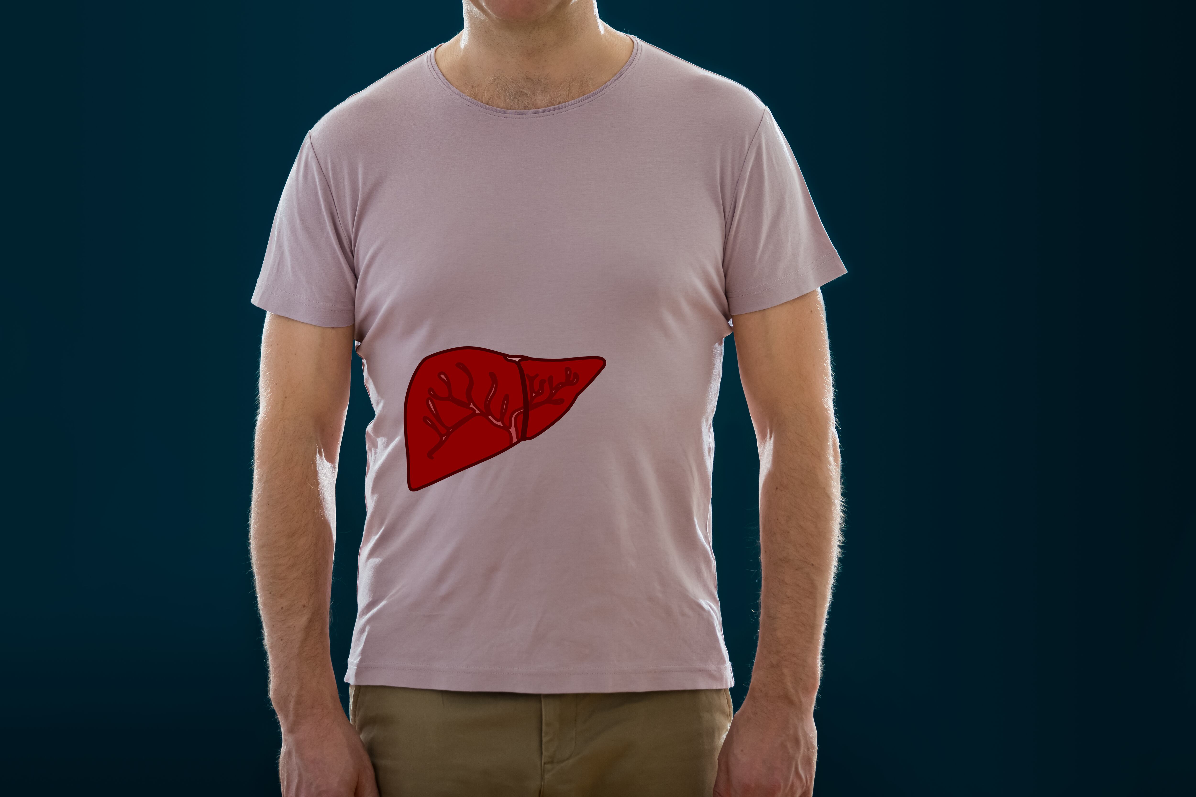 El hígado es un órgano con muchas funciones.