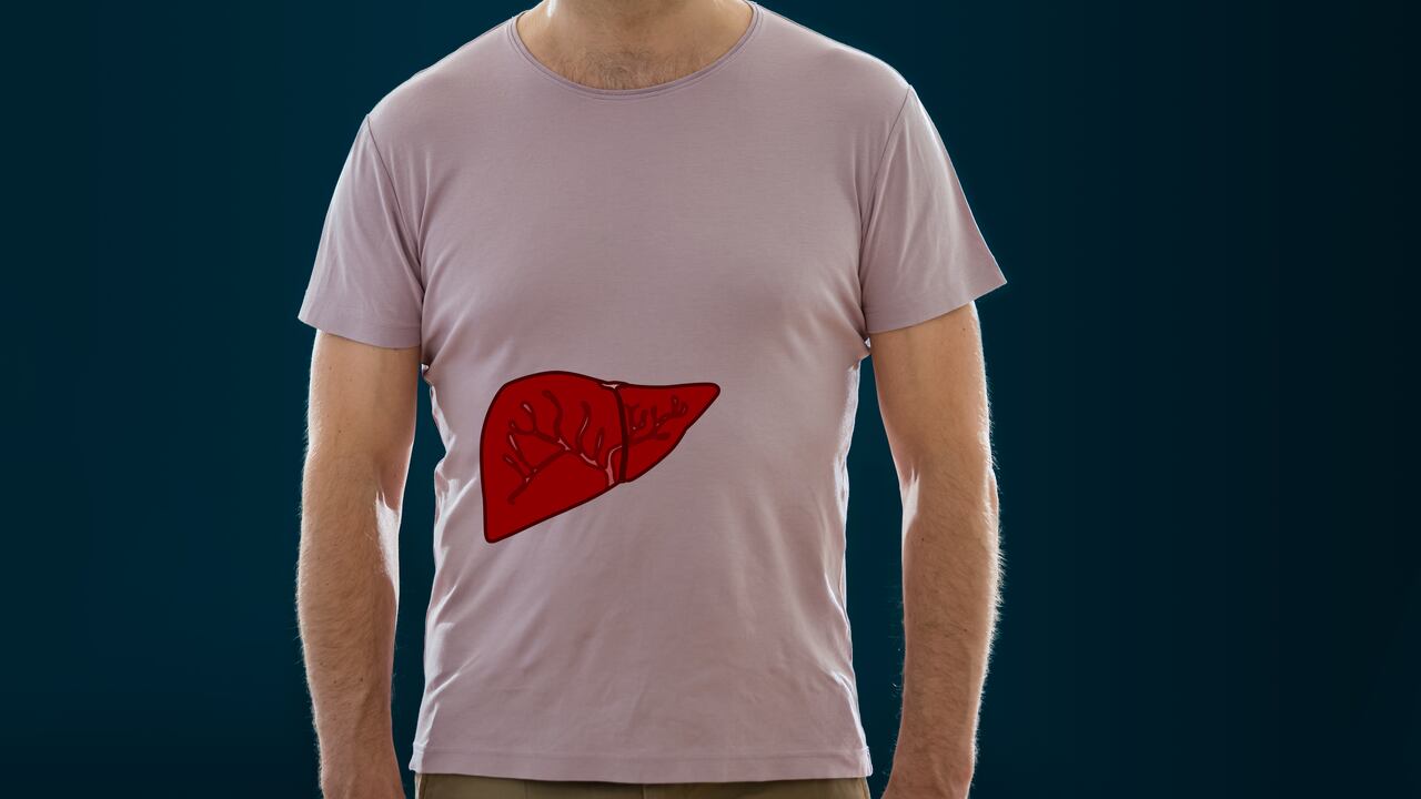 El hígado es un órgano con muchas funciones.