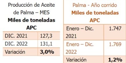 Producción Aceite de Palma