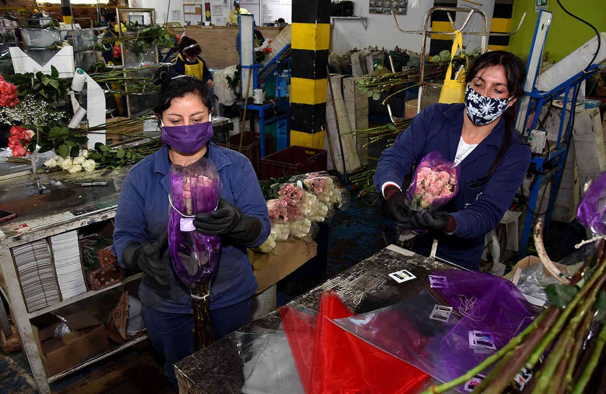 Muchos de los floricultores temen no tener a punto su producción para el Día de las Madres