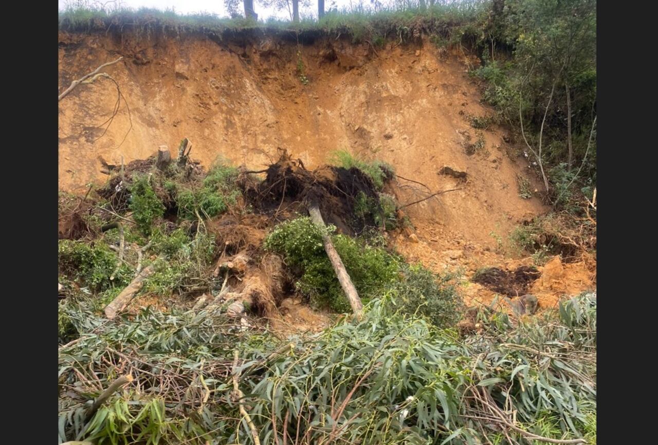 Vía Villeta - Bogotá está cerrada por caída de árbol