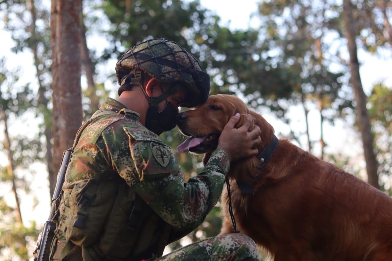 Danna, la perrita del Ejército que encontró toneladas de explosivos y salvó la vida de decenas de personas, junto a su guía Jorge Gaviria