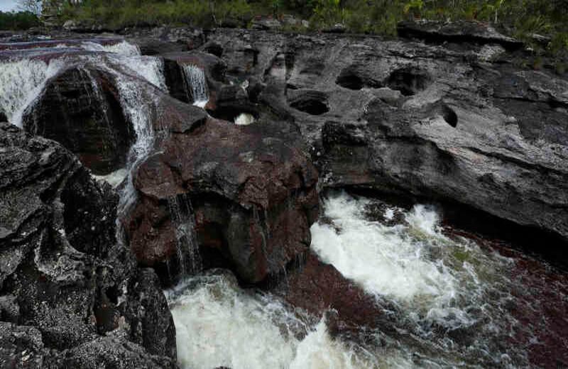 En el 2016 va un incremento del 15 % de turistas internacionales. Hoy (12 de octubre) hay más de 1800. Foto: Guillermo Torres / SEMANA