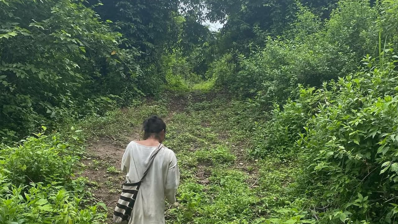 Taironaka, el lugar perfecto para vivir una experiencia ancestral y natural