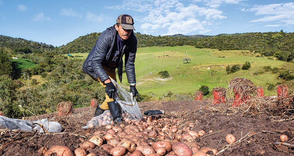 Mientras que el sector financiero es el de mejor desempeño en 2023, la agricultura sigue siendo la cenicienta de la economía. El petróleo y el carbón han estado afectados por los precios internacionales.
