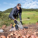 Mientras que el sector financiero es el de mejor desempeño en 2023, la agricultura sigue siendo la cenicienta de la economía. El petróleo y el carbón han estado afectados por los precios internacionales.