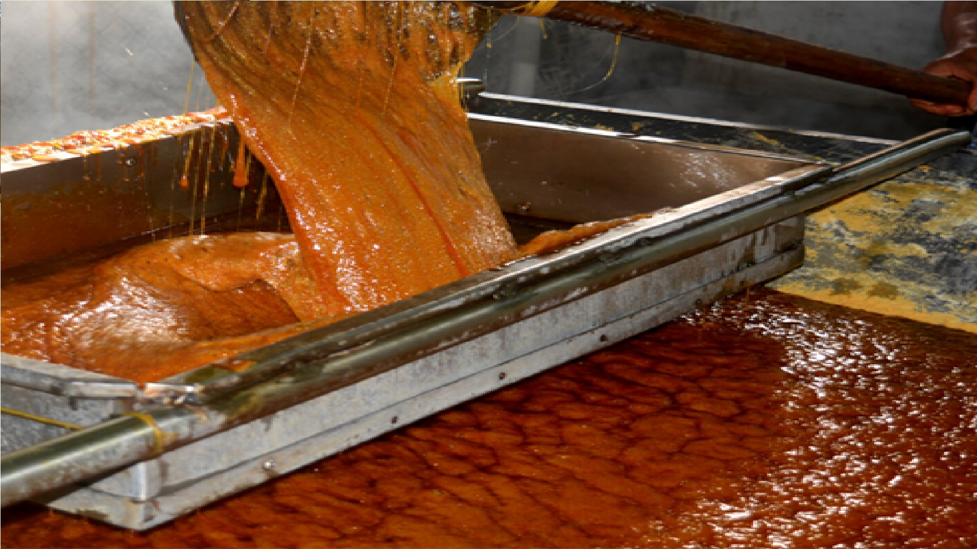 Campamento, Antioquia