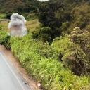 La acción violenta se registró en el corregimiento La Ermita.