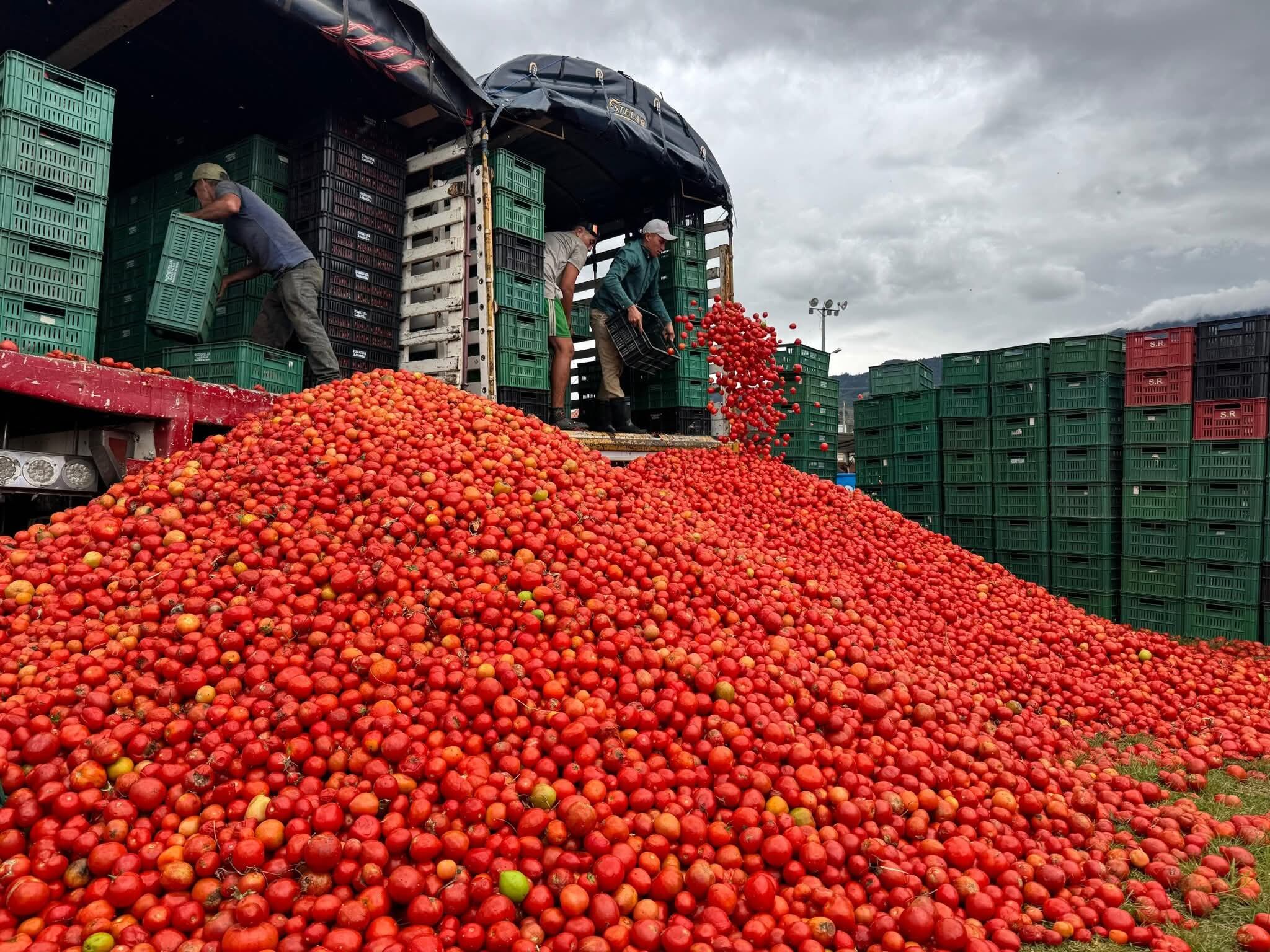 ¿Cuándo será la gran Tomatina en Colombia este 2026?