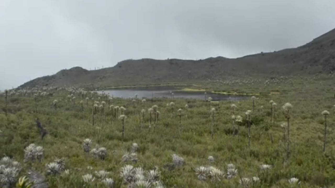 Parque Nacional Natural Chingaza