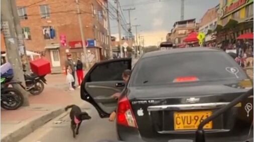 Denuncian abandono de perrita en plena vía de Suba, localidad de Bogotá.