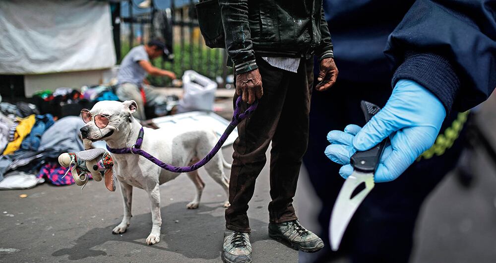 Los perros del crimen _2