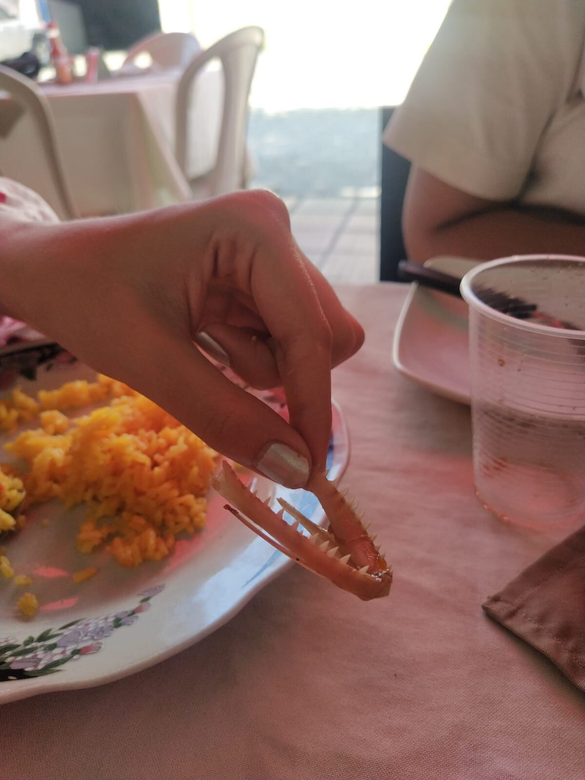 Cabeza de babilla en restaurante de Cartagena