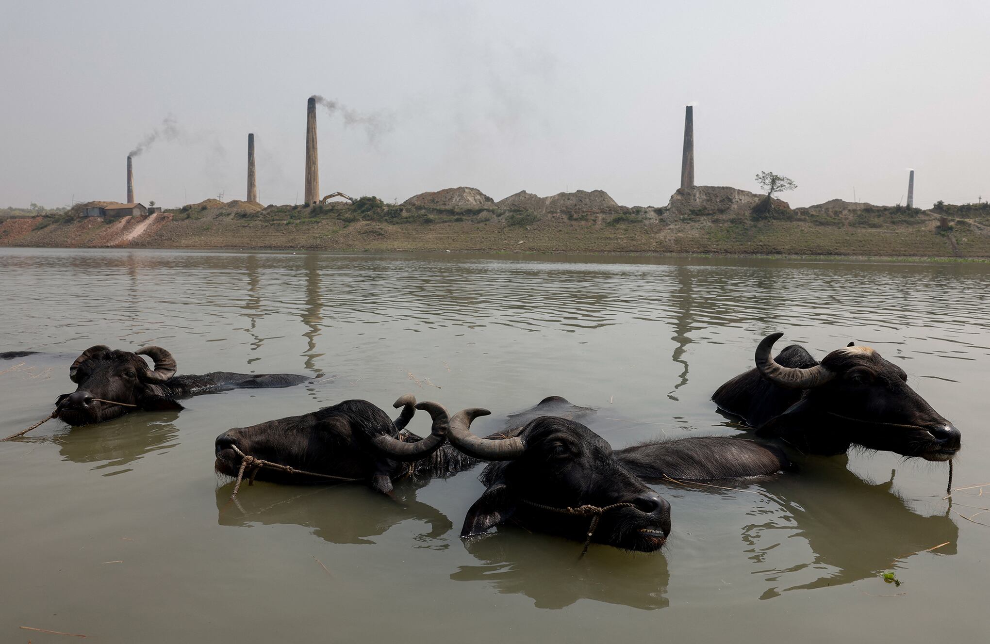 En imágenes : Viviendo a lo largo de un río 'muerto' en Bangladesh