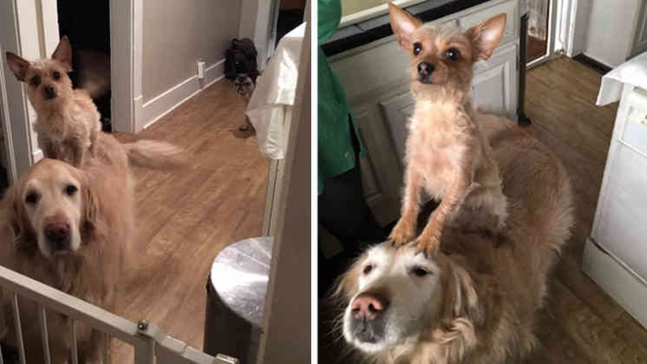 Twitter @BurkhartAdriana