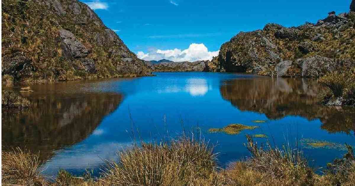 El Páramo de Santurbán es una de las principales fuentes de generación de agua que tiene el país. Foto: Archivo Semana