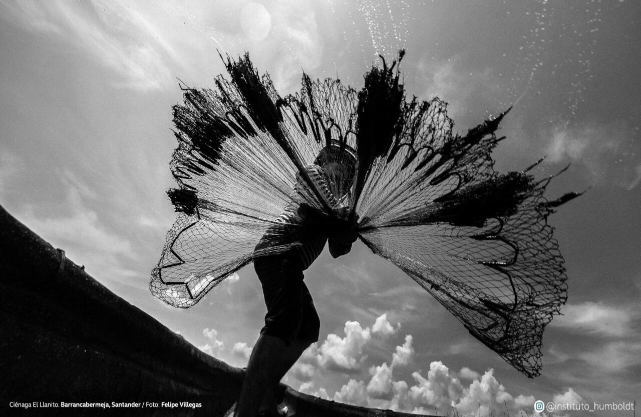 Ciénaga del Llanito. Barrancabermeja (Santander)