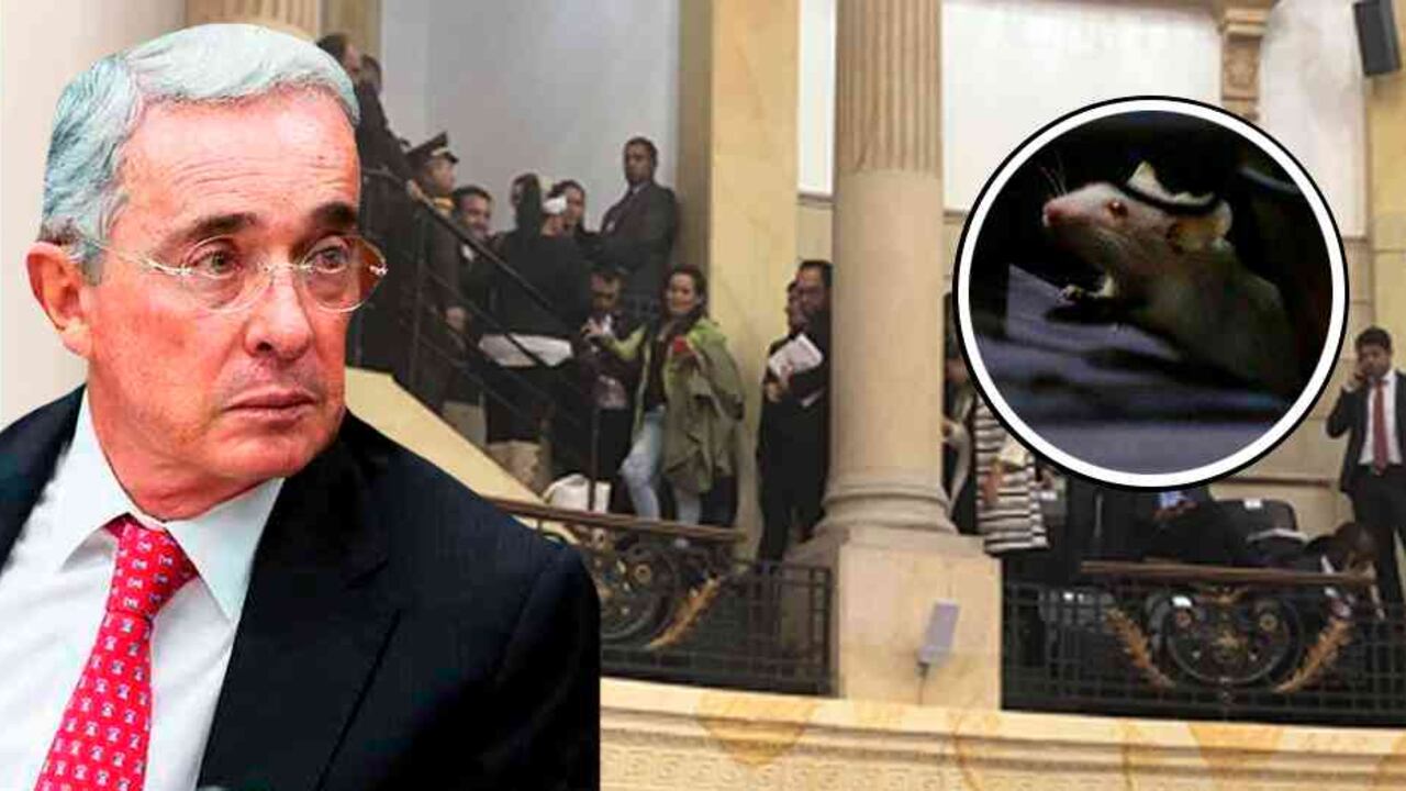 "Cuando yo vi que eran unos ratoncitos de colores, de esos que venden por ahí de juguetes, pues yo dije bueno, los torturaron a ellos, pero siquiera nada les pasó a los gatos", dijo Uribe