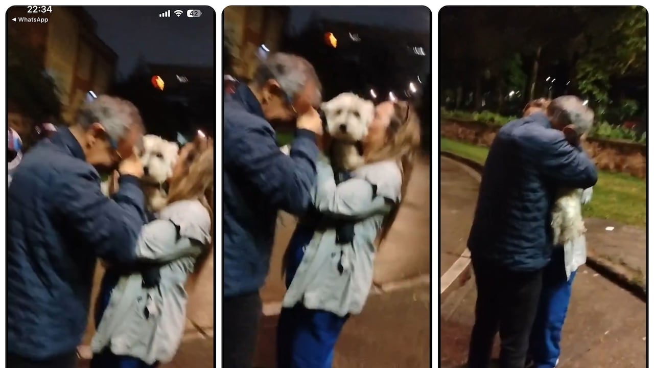 Aparece Max, el perro que desapareció en el Parque Nacional