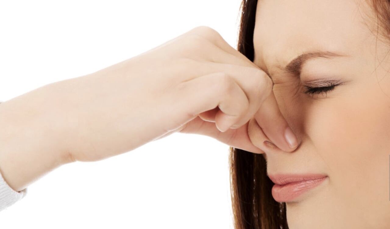 En la investigación participaron tres grupos de mujeres, uno de ellos no estuvo expuesto a los olores