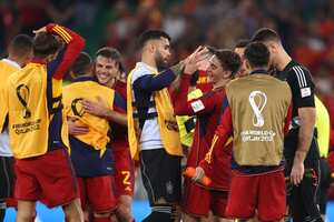 España comparte el grupo E con Alemania, Costa Rica y Japón.