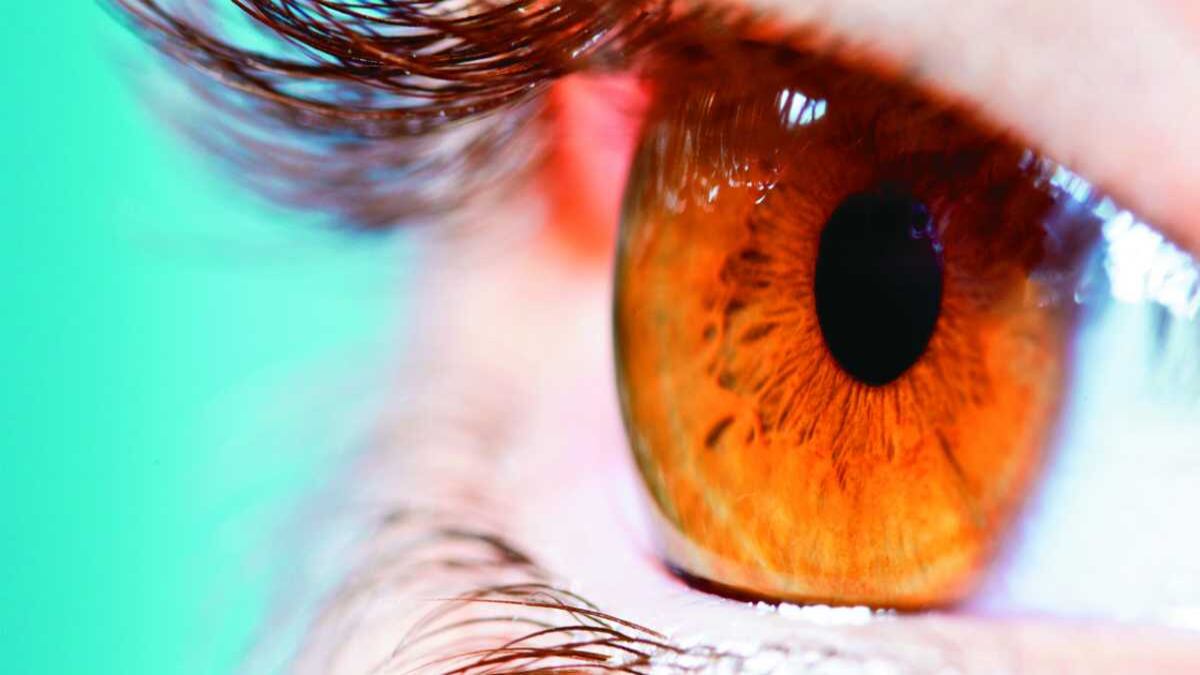 No descuide sus ojos