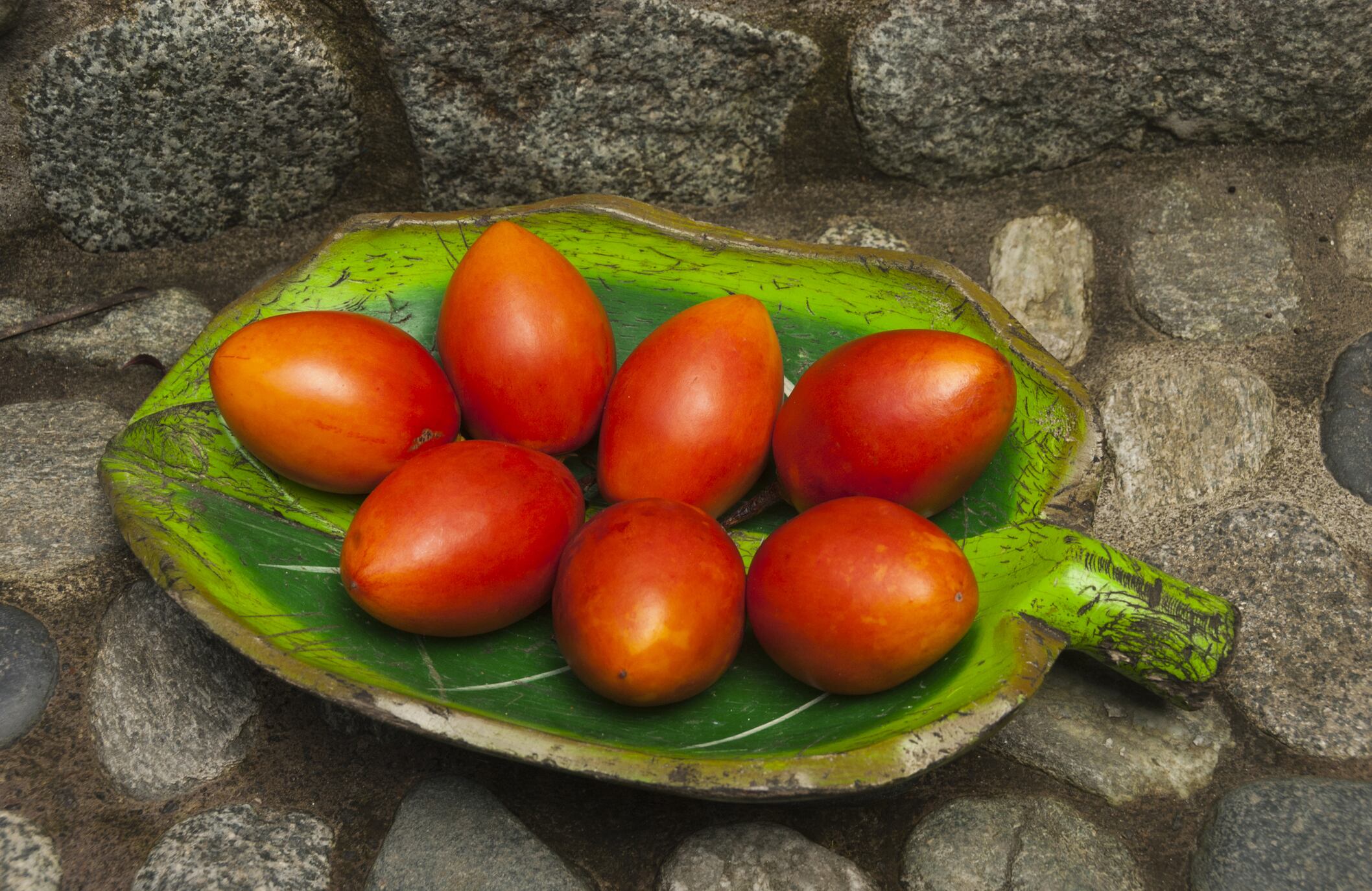 Ecuador, Pastaza River Canyon below Banos, Pailon del Diablo, Tamarillo fruit on platter.