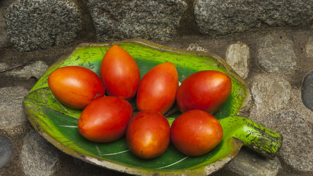 El sabor amargo del tomate de árbol se puede disminuir con algunas recomendaciones caseras