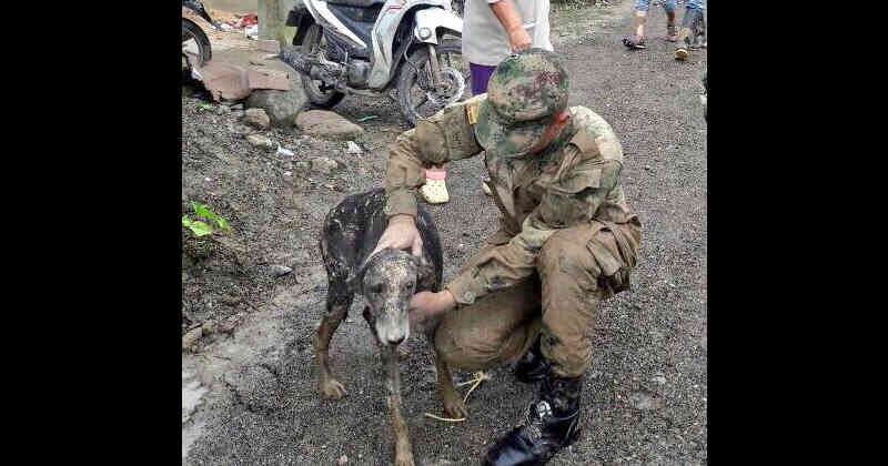 Rescate de mascotas en Mocoa.