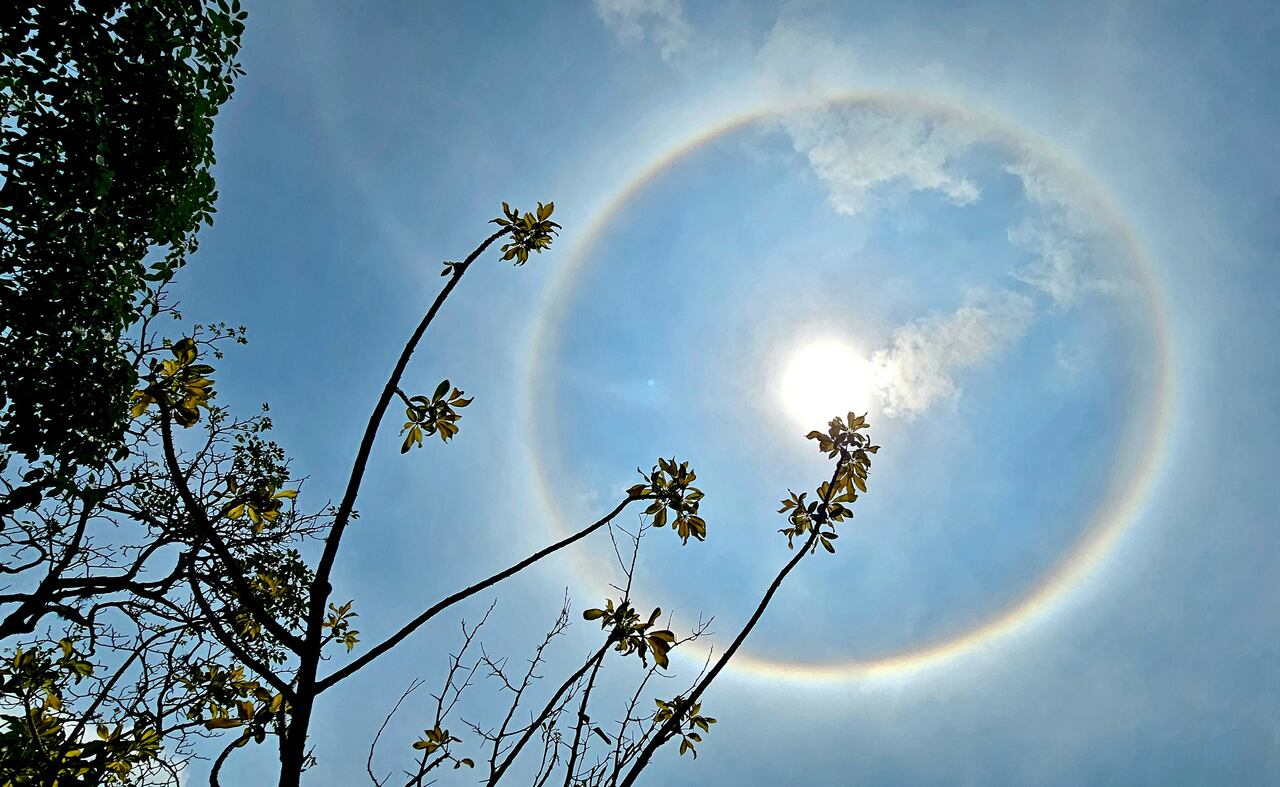 Halo solar
Este fenómeno atmosférico se produce cuando la luz del sol atraviesa diminutos cristales de hielo que se encuentran suspendidos en la parte alta de la atmósfera de la Tierra, lo que produce que la luz solar se disperse de una manera peculiar y de lugar a la formación de un aro de colores (similar a un arco iris) .