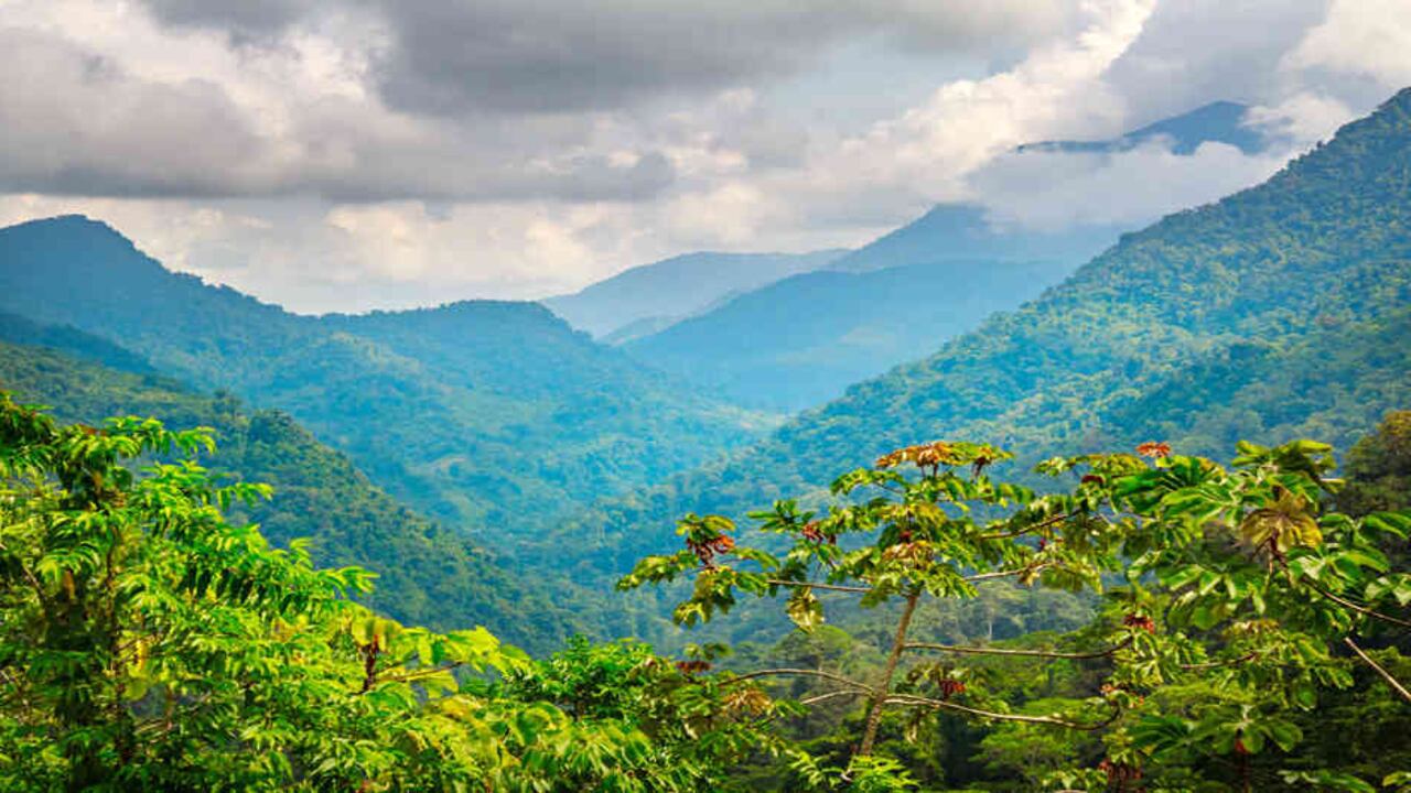 Personas de diferentes regiones del país llegaron a Sacramento para buscar un tesoro. Lo que encontraron fue una tierra que los acogió para siempre.