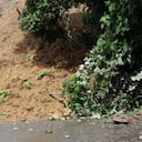 Así se encuentra una de las vías, totalmente obstaculizada. Incluso, las autoridades informaron que la población del municipio de Támesis también está afectada, reportan que no ha podido ingresar el camión especial que transporta gas domiciliario.