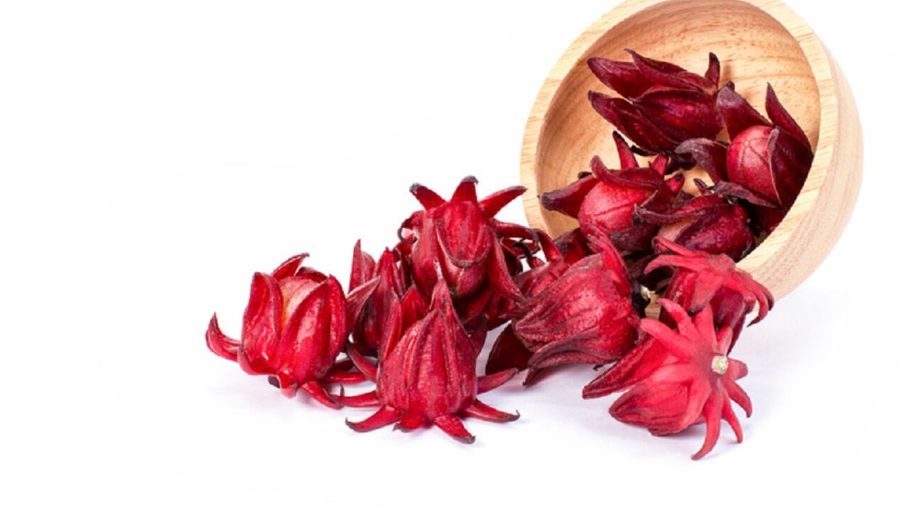 La flor de Jamaica es una planta que puede acelerar el crecimiento del cabello.