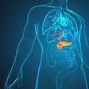 La inflamación del páncreas puede derivar en graves problemas de salud.