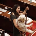 Cometa, mascota de la senadora Esmeralda Hernández.