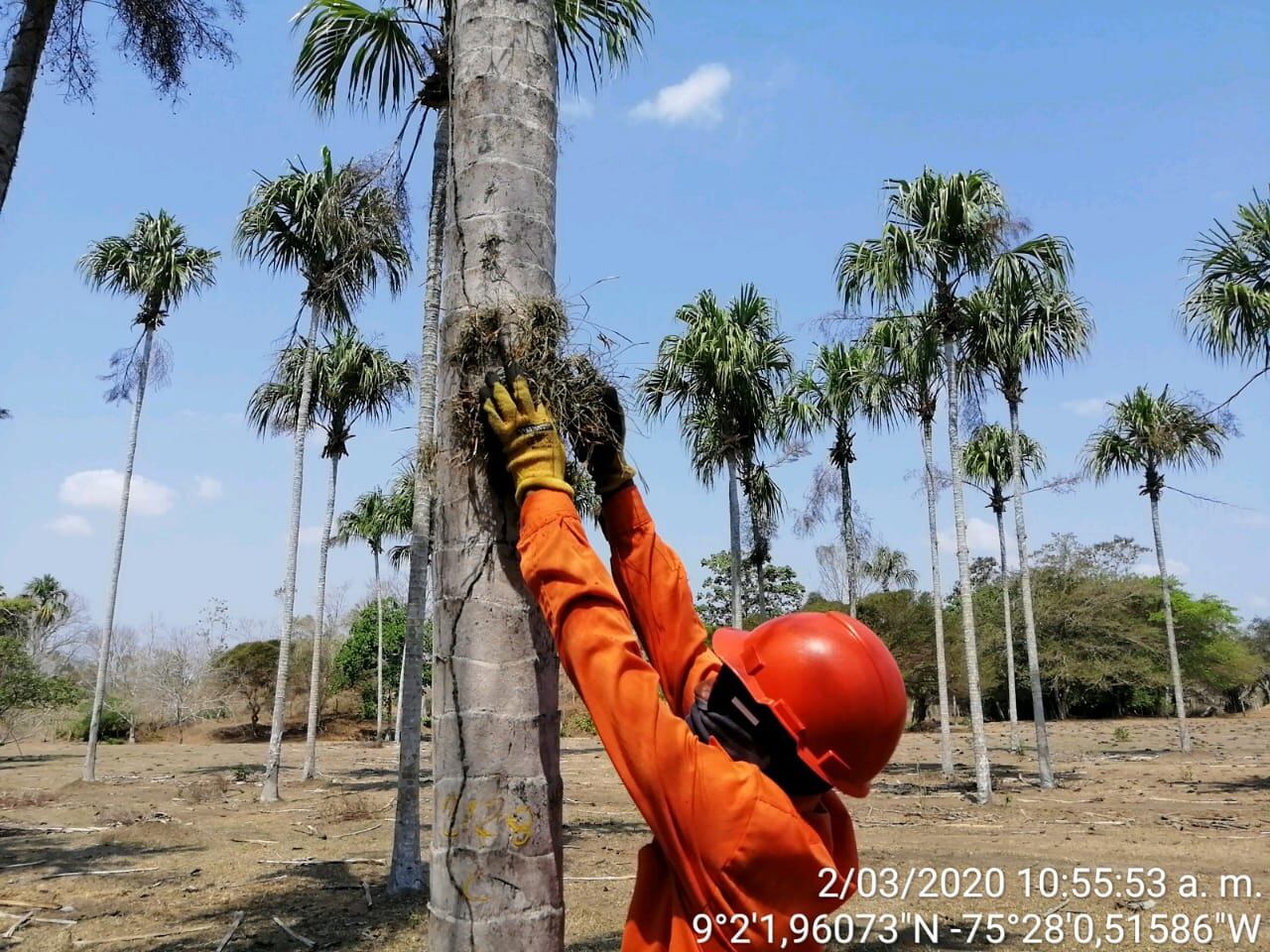 ISA INTERCOLOMBIA busca ir más allá de lo que dictan las normas y alinear sus acciones de conservación con los objetivos ambientales regionales y nacionales a través de proyectos sostenibles en el tiempo.