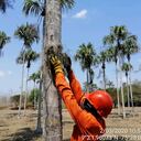 ISA INTERCOLOMBIA busca ir más allá de lo que dictan las normas y alinear sus acciones de conservación con los objetivos ambientales regionales y nacionales a través de proyectos sostenibles en el tiempo.