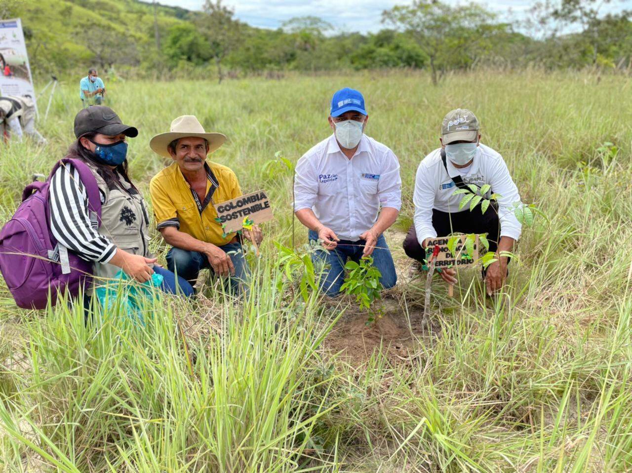 programa Bosque de Vida