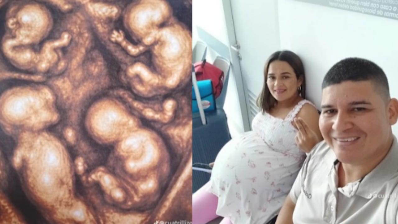 Los cuatro pequeños ya comenzaron su vida en este mundo.