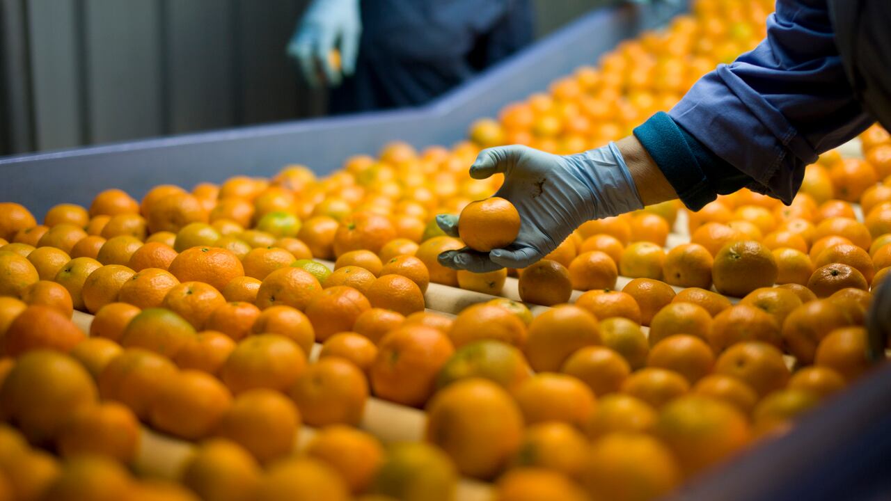 La mandarina contiene potasio, vitamina C, entre otras vitaminas y minerales.
