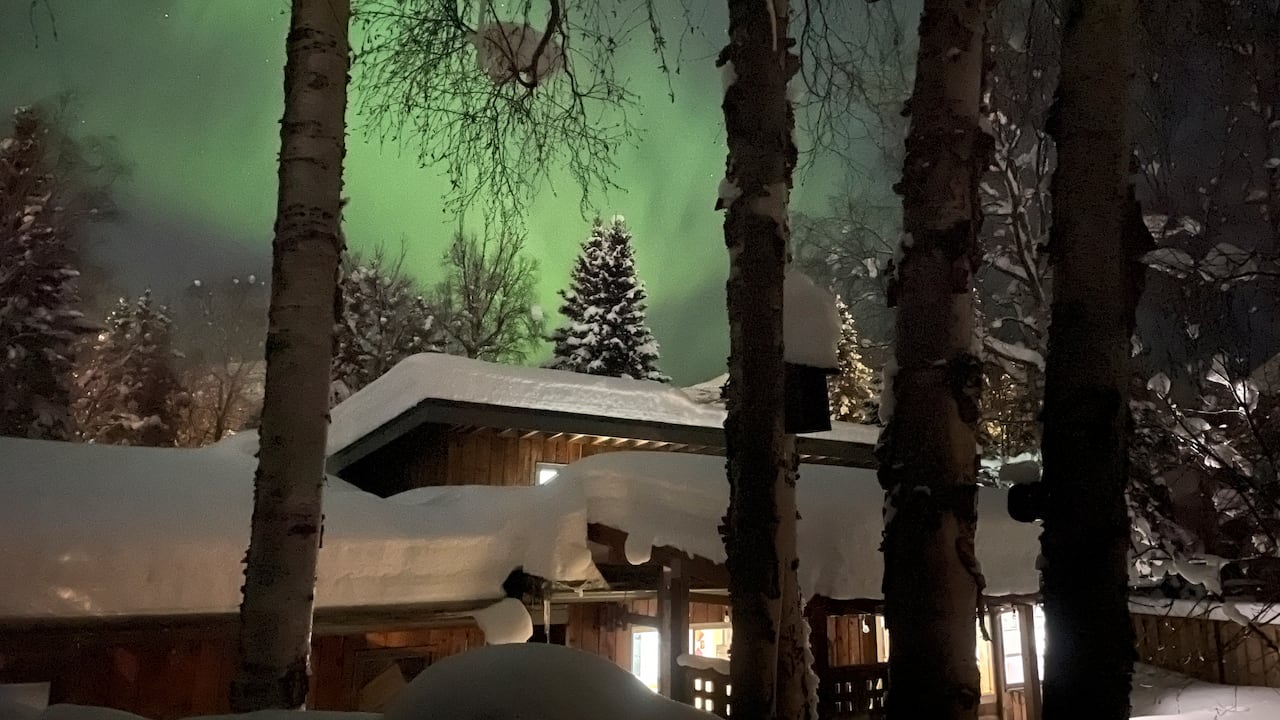 Fotos de la semana 17 febrero 2023