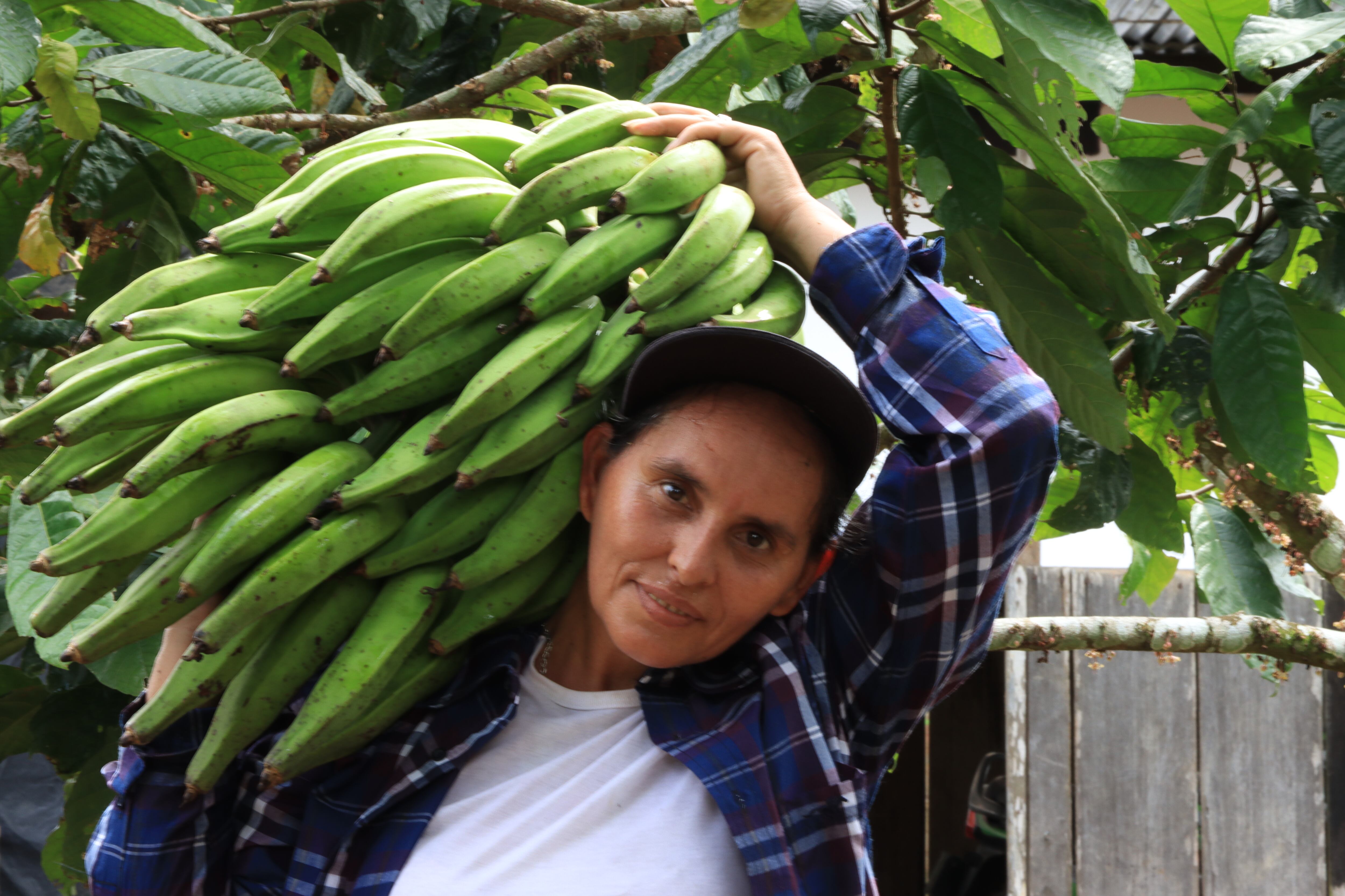 HISTORIAS DESDE EL SUR – SERIE AUDIOVISUAL DOCUMENTAL-