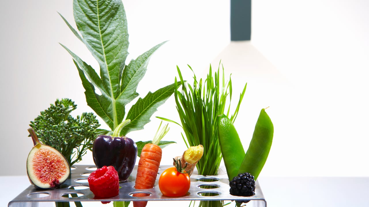 Las verduras son alimentos que le aportan antioxidantes al cuerpo.