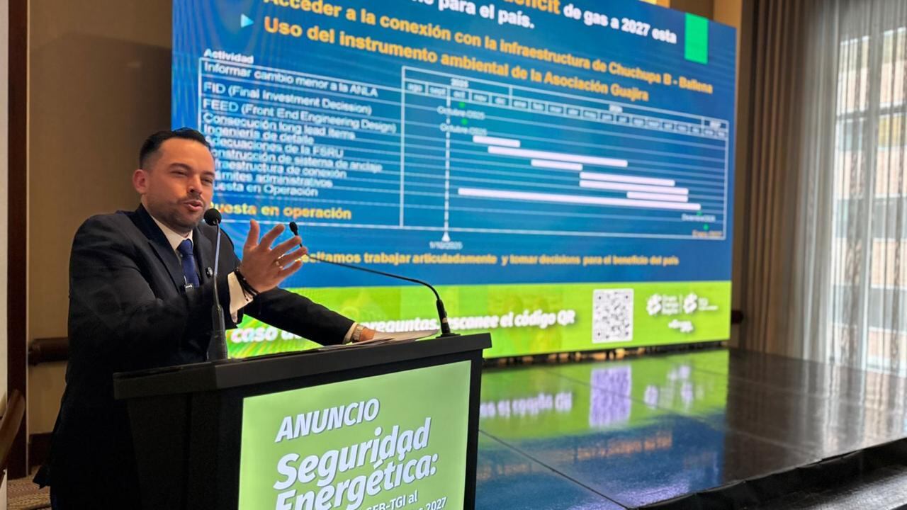 Edwin Palma, ministro de Minas