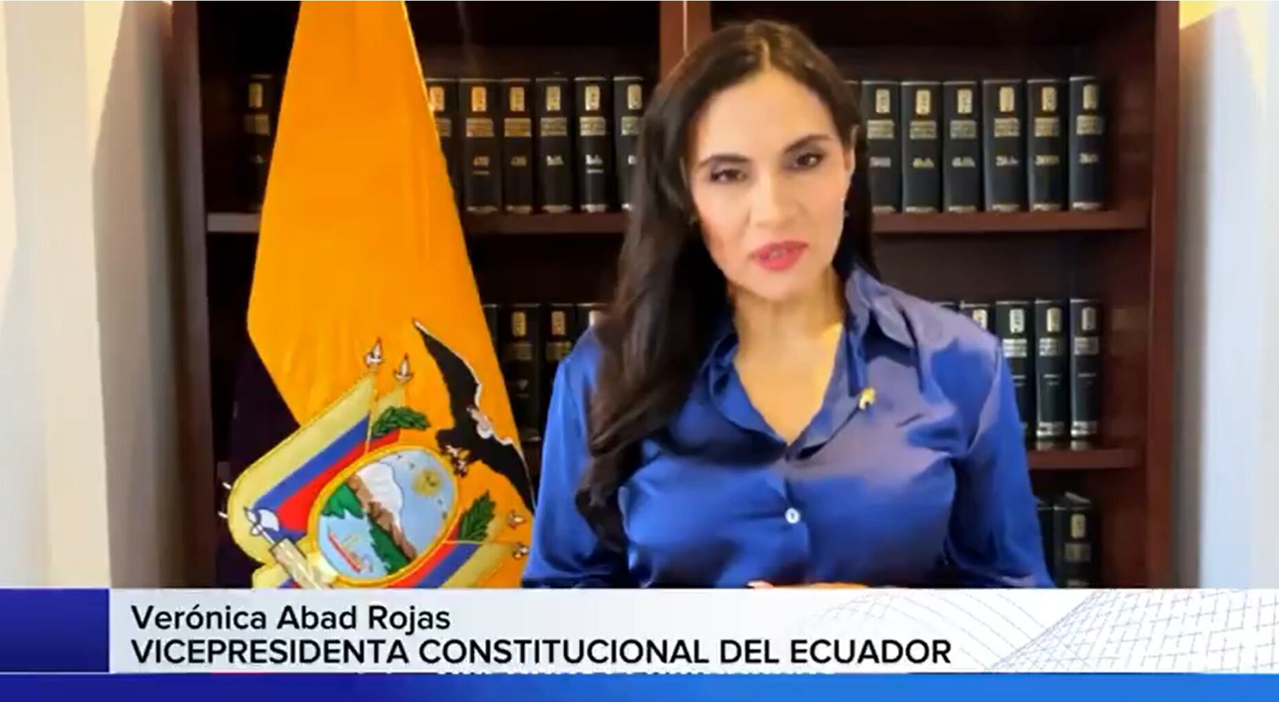 Abad solicitó a la OEA y la comunidad internacional que protejan la democracia y actúen contra cualquier intento de desestabilización en Ecuador.
